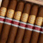 Por Larranaga 波尔．拉腊尼亚加 Leones Spain 2023RE 利昂西班牙地区限定版 - 图片 3