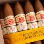 Hoyo de Monterrey 好友 Epicure No.3 逍遥 3号（25支） - 图片 2