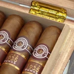 Montecristo 蒙特 Linea 1935 Dumas 2020 (Vintage) 1935 大仲马 (2020年出厂) - 图片 2