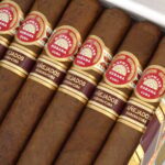 H. Upmann 乌普曼 H.Upmann Robusto Anejados 2017 罗伯图陈年2017 - 图片 2