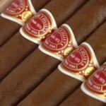 Romeo y Julieta 罗密欧．朱丽叶 Maravillas 8马拉维拉斯鼠年特别版 - 图片 2