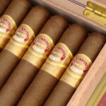 Romeo y Julieta 罗密欧．朱丽叶 Linea Oro Hidalgos 黃金系列 绅士 - 图片 2