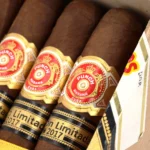 Punch 潘趣 Regios De Limited Edition 2017 2017 限量版 - 图片 2