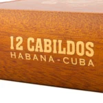 Trinidad 特立尼达 Cabildos 2024LE 卡比尔多斯 - 图片 5