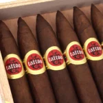 Tatuaje 塔图 Tattoo Bonito Torpedo 塔图柏尼特完美 - 图片 3