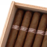 Tatuaje 塔图 Tainos 泰诺斯 - 图片 2