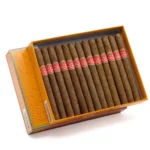 Partagás 帕特加斯 Chicos 奇科-宽50支 - 图片 3