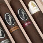 Davidoff 大卫杜夫 Robusto Selection Sampler 罗伯图组合装 - 图片 4