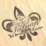 Tatuaje 塔图 Unicos 联合 - 图片 8