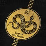 Cohiba 高希霸 Short Year of the Snake 2025LE 短号2025蛇年限量版 - 图片 3